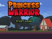 Hra Princezná bojovník online Hra Princezná bojovník online