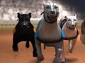 Hra Greyhound Racing online