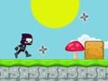 Hra Ninja beh online
