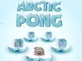 Hra Arktický pong online