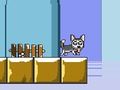 Hra Pán Jump Husky  online