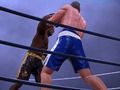 Hra Boxerský klub online