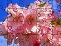 Hra Puzzle: Kvety  online