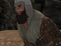Hra Vikingovia  online