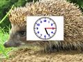 Hra Puzzle Pics Hodiny  online