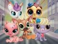 Hra Little Pet Shop: Schovávačka  online