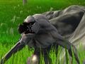 Hra Monster obrany  online