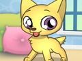 Hra Štúdio Princess Pet Studio  online