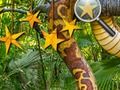Hra Jungle skryté hviezdy  online