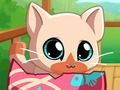 Hra Môj Pocket Pets Kitty Cat  online