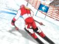 Hra Zimné športy: Slalomový hrdina online Hra Zimné športy: Slalomový hrdina online