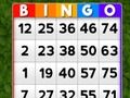 Hra Bingo online Hra Bingo online