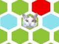 Hra Trap Cat  online