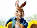 Hra Peter Rabbit: Problémy v bludisku  online