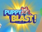 Hra Blast šteňa  online