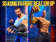 Hra 3d kung-fu bojuj o bitku hore  online