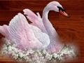 Hra Love Birds Puzzle online