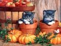 Hra Halloween maľba  online
