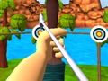 Hra Majster Archery Shooting  online