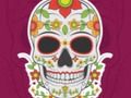 Hra Farebná skladačka Skull  online