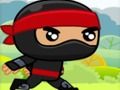 Hra Ninja online