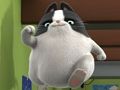 Hra Agent puzzle Binky Pets of the Universe  online