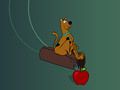 Hra Scooby Doo Snack Dash online Hra Scooby Doo Snack Dash online