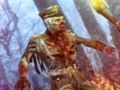 Hra Hrdina zombie lovca online