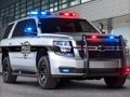 Hra Policajné autá Slide  online