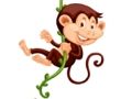 Hra Safari skladačka  online