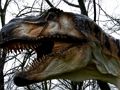 Hra Skladačka T-Rex Dinosaur  online