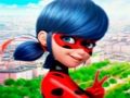 Hra Kolekcia skladačiek LadyBug  online