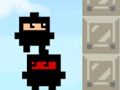 Hra Ninja kocka  online