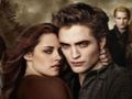 Hra Zbierka puzzle Twilight Jigsaw online