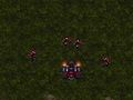Hra Starcraft 3  online