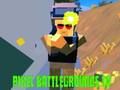 Hra Pixel Battlegrounds. IO  online