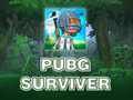 Hra PUBG Survivor  online