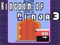 Hra Kráľovstvo Ninja 3  online