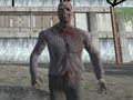 Hra Prežitie tmavého lesa FPS online