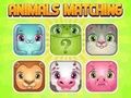 Hra Zvieratá Memory Matching  online