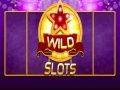 Hra Divoký slot  online