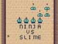 Hra Ninja vs slime online