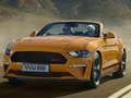 Hra Špeciálna snímka Ford Mustang California online
