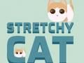 Hra Stretch Cat  online