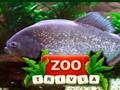 Hra Drobnosti zo ZOO  online