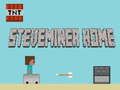 Hra Steveminer domov online