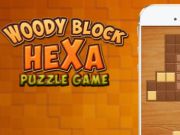 Hra Drevené bloky hexa puzzle online