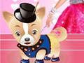 Hra Dressup pre Barbie pre psa  online