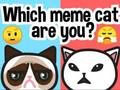 Hra Ktorá meme mačka ste?  online