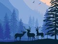 Hra Krajina Skrytý raj  online
